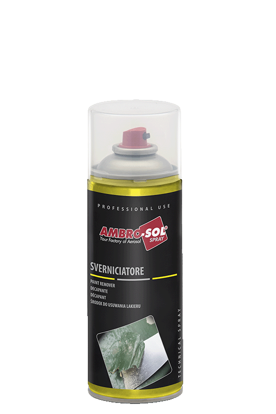 PAINT REMOVER 400 ML
